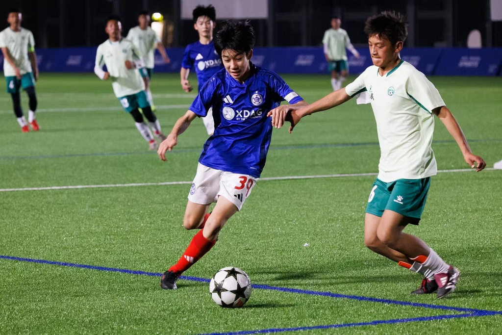bc216781-92f2-46d9-9f24-dee4bc7d4e7c 微信图片_20250211194355